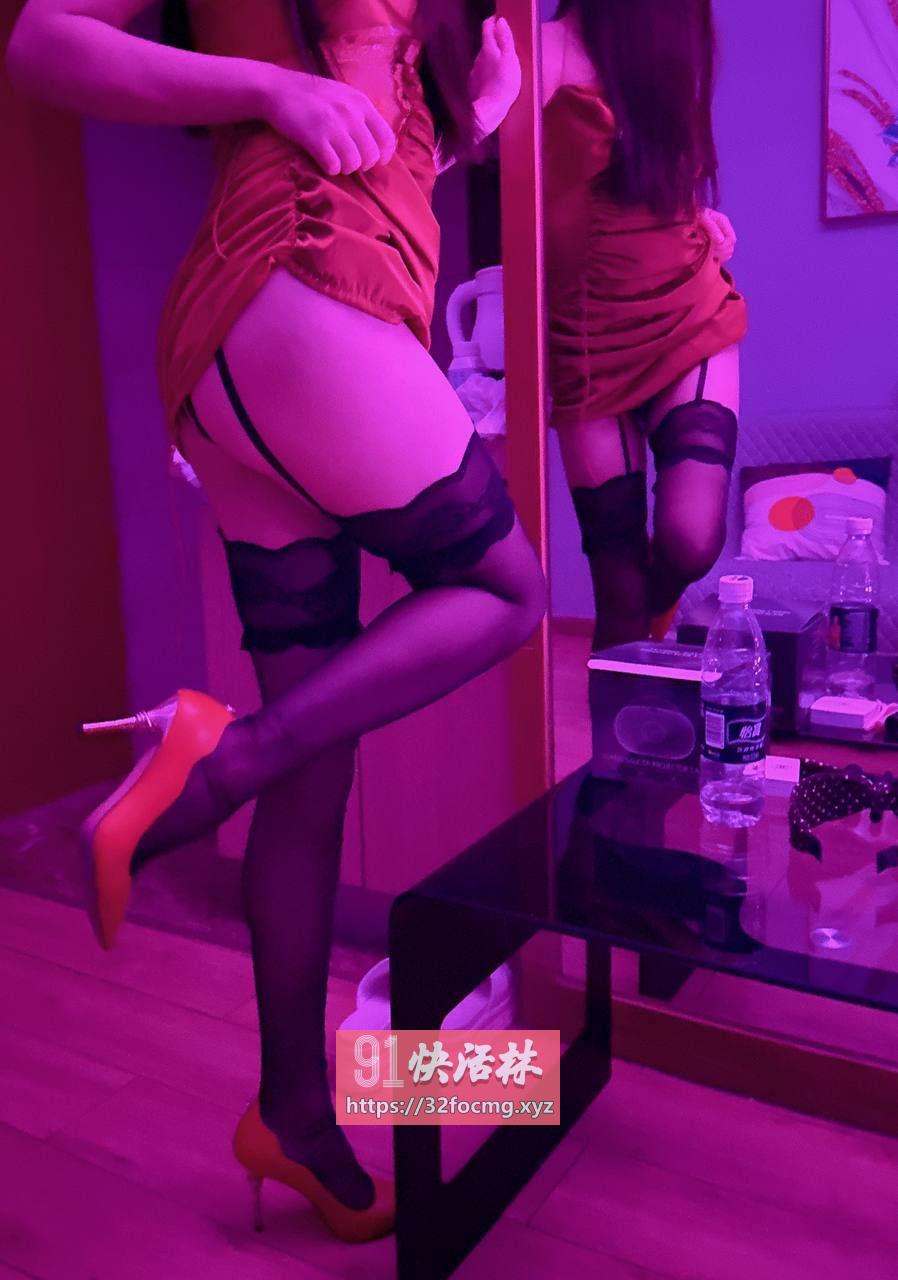 合肥包河区小母狗