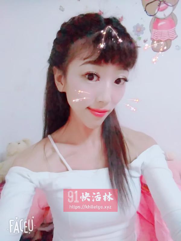 大连加菲猫