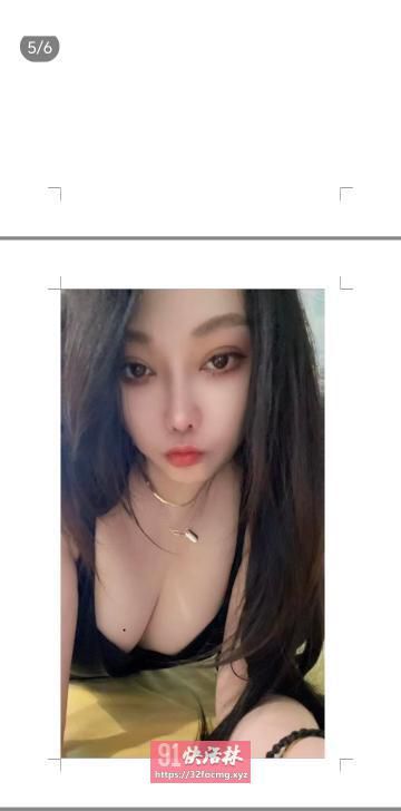 秦淮兔子