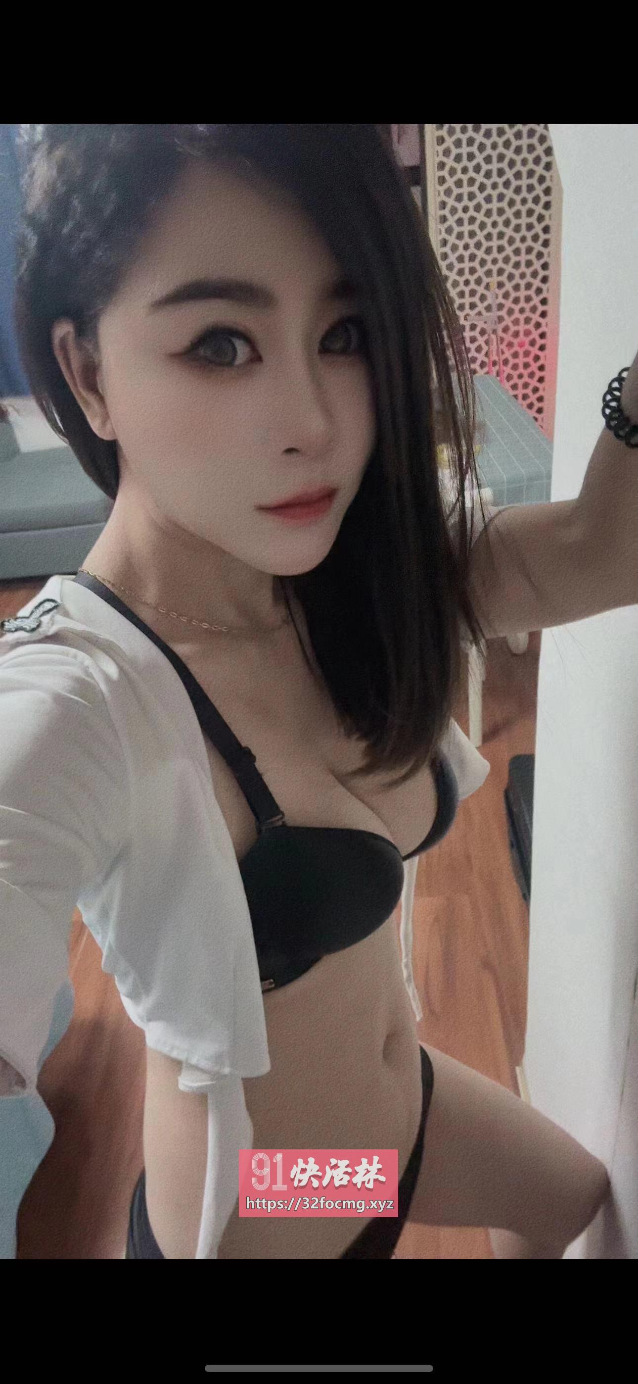 河东阿狸
