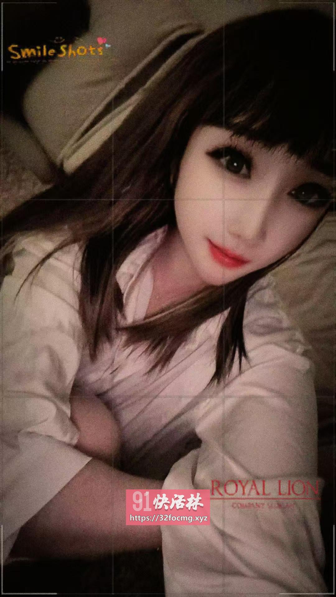 铁西滑翔五金城狐狸